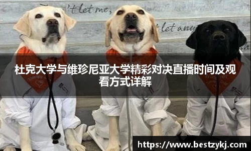 PA视讯
